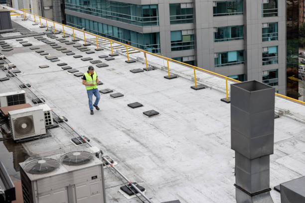 Best Skylight Installation and Repair  in Kraemer, LA