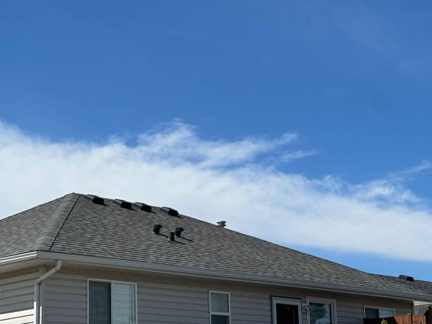 Best Roof Waterproofing  in Kraemer, LA